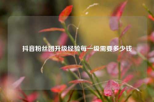 抖音粉丝团升级经验每一级需要多少钱  第1张