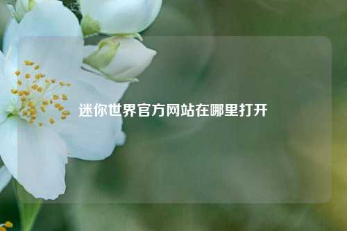 迷你世界官方网站在哪里打开  第1张