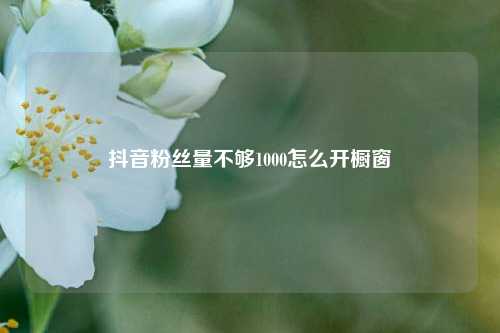 抖音粉丝量不够1000怎么开橱窗  第1张
