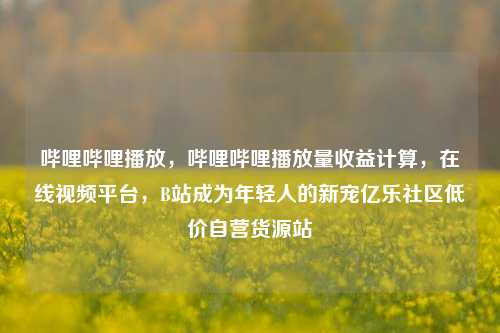 哔哩哔哩播放，哔哩哔哩播放量收益计算，在线视频平台，B站成为年轻人的新宠亿乐社区低价自营货源站  第1张