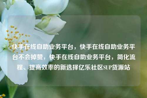 快手在线自助业务平台，快手在线自助业务平台不会掉赞，快手在线自助业务平台	，简化流程、提高效率的新选择亿乐社区SUP货源站  第1张