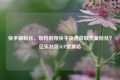 快手刷粉丝，如何利用快手快速获取大量粉丝？亿乐社区SUP货源站  第1张