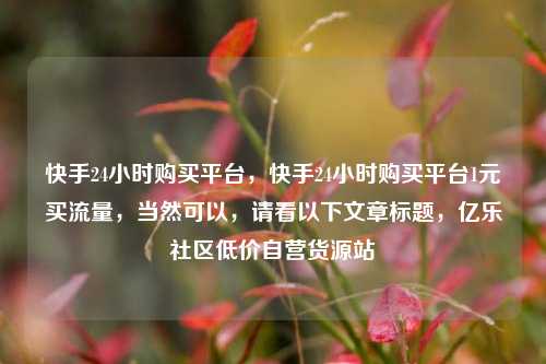 快手24小时购买平台，快手24小时购买平台1元买流量，当然可以，请看以下文章标题	，亿乐社区低价自营货源站  第1张