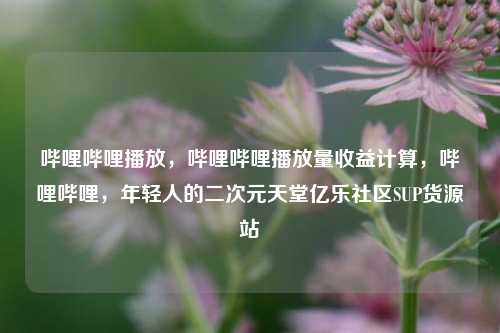 哔哩哔哩播放	，哔哩哔哩播放量收益计算，哔哩哔哩，年轻人的二次元天堂亿乐社区SUP货源站  第1张