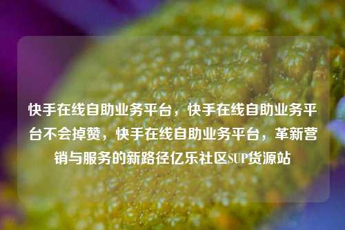 快手在线自助业务平台，快手在线自助业务平台不会掉赞，快手在线自助业务平台	，革新营销与服务的新路径亿乐社区SUP货源站  第1张