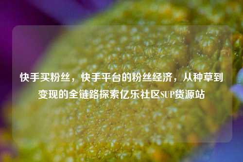快手买粉丝，快手平台的粉丝经济，从种草到变现的全链路探索亿乐社区SUP货源站  第1张