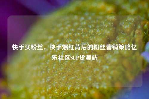 快手买粉丝，快手爆红背后的粉丝营销策略亿乐社区SUP货源站  第1张