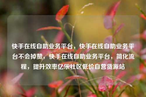快手在线自助业务平台，快手在线自助业务平台不会掉赞，快手在线自助业务平台，简化流程	，提升效率亿乐社区低价自营货源站  第1张