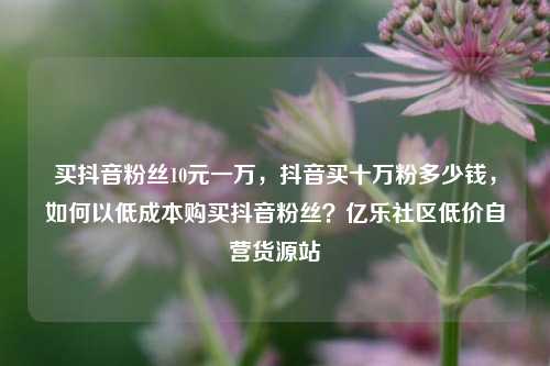 买抖音粉丝10元一万，抖音买十万粉多少钱，如何以低成本购买抖音粉丝？亿乐社区低价自营货源站  第1张