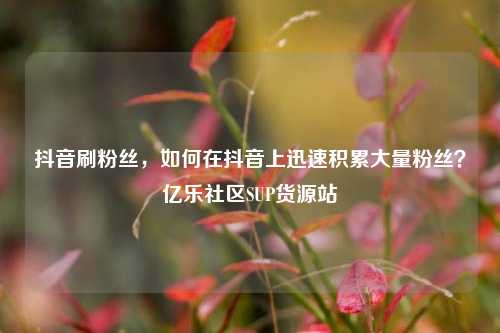 抖音刷粉丝，如何在抖音上迅速积累大量粉丝？亿乐社区SUP货源站  第1张