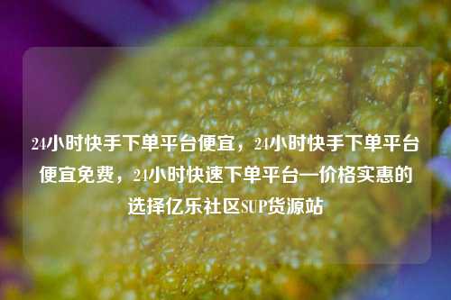 24小时快手下单平台便宜，24小时快手下单平台便宜免费，24小时快速下单平台—价格实惠的选择亿乐社区SUP货源站  第1张