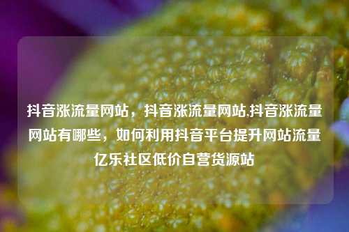 抖音涨流量网站，抖音涨流量网站,抖音涨流量网站有哪些，如何利用抖音平台提升网站流量亿乐社区低价自营货源站  第1张