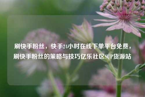 刷快手粉丝	，快手24小时在线下单平台免费，刷快手粉丝的策略与技巧亿乐社区SUP货源站  第1张