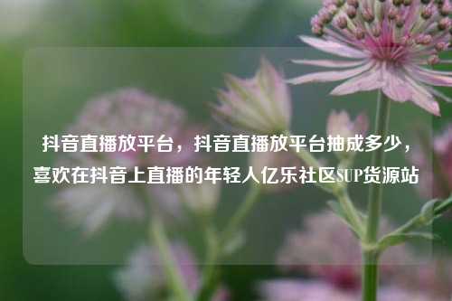 抖音直播放平台，抖音直播放平台抽成多少，喜欢在抖音上直播的年轻人亿乐社区SUP货源站  第1张