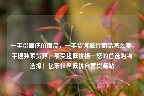 一手货源低价商品	，一手货源低价商品怎么卖，手握独家货源，享受超低价格—您的首选购物选择！亿乐社区低价自营货源站  第1张