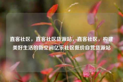 直客社区，直客社区货源站，直客社区	，构建美好生活的新空间亿乐社区低价自营货源站  第1张