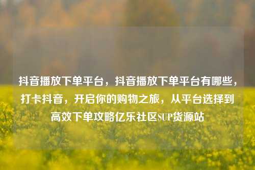 抖音播放下单平台，抖音播放下单平台有哪些	，打卡抖音，开启你的购物之旅，从平台选择到高效下单攻略亿乐社区SUP货源站  第1张