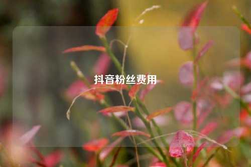 抖音粉丝费用  第1张