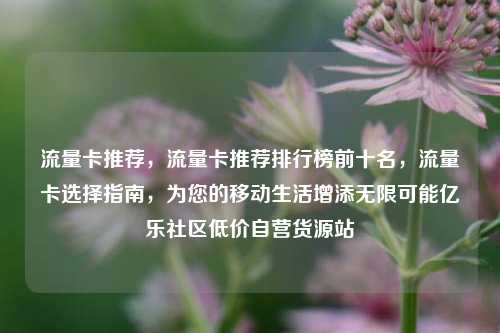 流量卡推荐，流量卡推荐排行榜前十名，流量卡选择指南	，为您的移动生活增添无限可能亿乐社区低价自营货源站  第1张