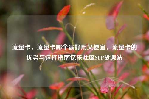 流量卡	，流量卡哪个最好用又便宜，流量卡的优劣与选择指南亿乐社区SUP货源站  第1张