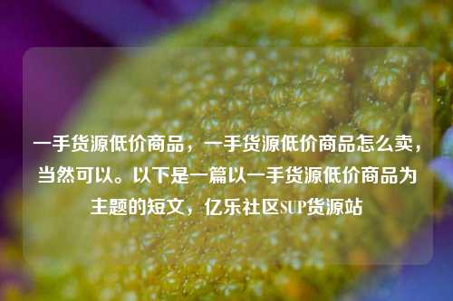 一手货源低价商品	，一手货源低价商品怎么卖，当然可以。以下是一篇以一手货源低价商品为主题的短文，亿乐社区SUP货源站  第1张