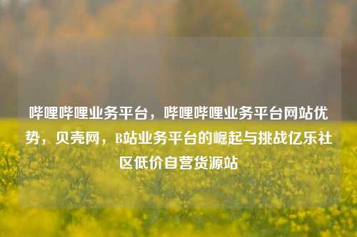 哔哩哔哩业务平台，哔哩哔哩业务平台网站优势，贝壳网	，B站业务平台的崛起与挑战亿乐社区低价自营货源站  第1张