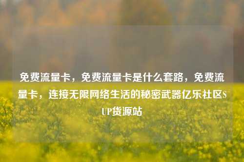 免费流量卡，免费流量卡是什么套路	，免费流量卡，连接无限网络生活的秘密武器亿乐社区SUP货源站  第1张