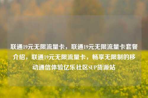 联通19元无限流量卡，联通19元无限流量卡套餐介绍，联通19元无限流量卡，畅享无限制的移动通信体验亿乐社区SUP货源站  第1张