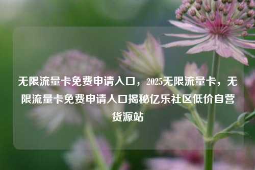 无限流量卡免费申请入口，2025无限流量卡，无限流量卡免费申请入口揭秘亿乐社区低价自营货源站  第1张
