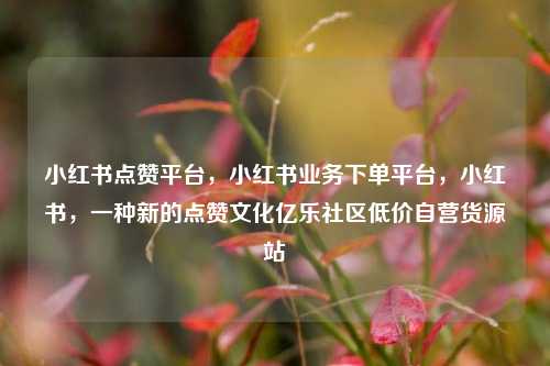 小红书点赞平台，小红书业务下单平台，小红书	，一种新的点赞文化亿乐社区低价自营货源站  第1张