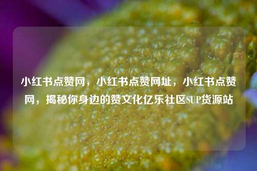 小红书点赞网，小红书点赞网址，小红书点赞网，揭秘你身边的赞文化亿乐社区SUP货源站  第1张