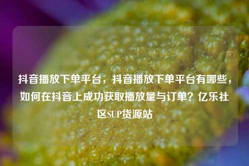 抖音播放下单平台，抖音播放下单平台有哪些，如何在抖音上成功获取播放量与订单？亿乐社区SUP货源站  第1张