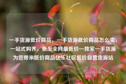 一手货源低价商品	，一手货源低价商品怎么卖，一站式购齐，低至全网最低价—独家一手货源为您带来低价商品亿乐社区低价自营货源站  第1张