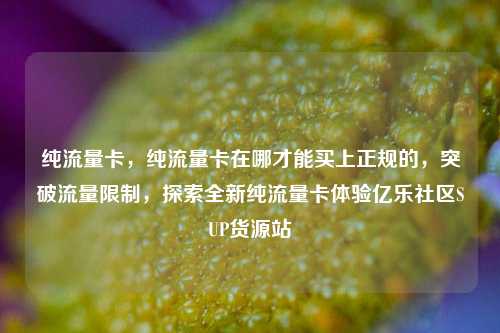 纯流量卡，纯流量卡在哪才能买上正规的，突破流量限制	，探索全新纯流量卡体验亿乐社区SUP货源站  第1张