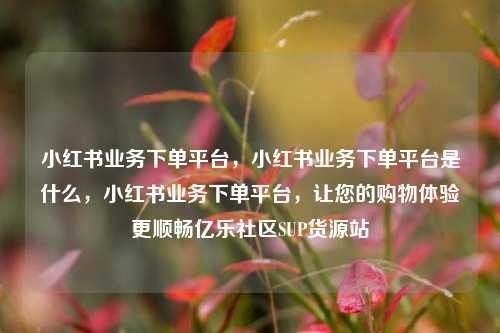 小红书业务下单平台	，小红书业务下单平台是什么，小红书业务下单平台，让您的购物体验更顺畅亿乐社区SUP货源站  第1张