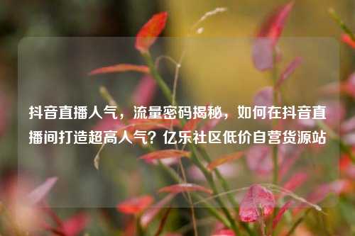 抖音直播人气，流量密码揭秘，如何在抖音直播间打造超高人气？亿乐社区低价自营货源站  第1张