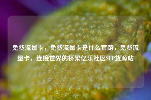 免费流量卡，免费流量卡是什么套路	，免费流量卡，连接世界的桥梁亿乐社区SUP货源站  第1张