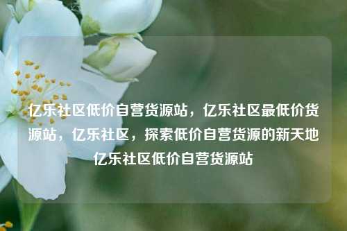 亿乐社区低价自营货源站，亿乐社区最低价货源站	，亿乐社区，探索低价自营货源的新天地亿乐社区低价自营货源站  第1张