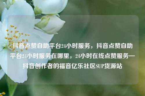 抖音点赞自助平台24小时服务	，抖音点赞自助平台24小时服务在哪里，24小时在线点赞服务—抖音创作者的福音亿乐社区SUP货源站  第1张