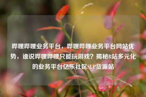 哔哩哔哩业务平台，哔哩哔哩业务平台网站优势，谁说哔哩哔哩只能玩游戏？揭秘B站多元化的业务平台亿乐社区SUP货源站  第1张