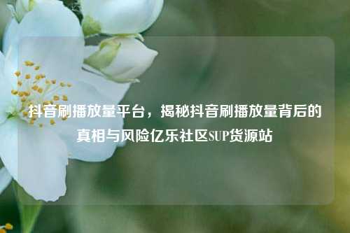 抖音刷播放量平台，揭秘抖音刷播放量背后的真相与风险亿乐社区SUP货源站  第1张