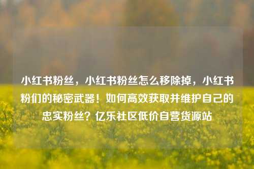小红书粉丝，小红书粉丝怎么移除掉，小红书粉们的秘密武器！如何高效获取并维护自己的忠实粉丝？亿乐社区低价自营货源站  第1张