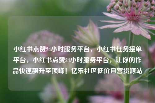 小红书点赞24小时服务平台，小红书任务接单平台，小红书点赞24小时服务平台	，让你的作品快速飙升至顶峰！亿乐社区低价自营货源站  第1张