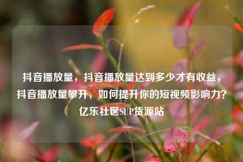 抖音播放量，抖音播放量达到多少才有收益	，抖音播放量攀升，如何提升你的短视频影响力？亿乐社区SUP货源站  第1张