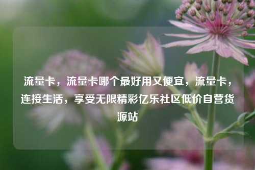 流量卡，流量卡哪个最好用又便宜，流量卡	，连接生活，享受无限精彩亿乐社区低价自营货源站  第1张