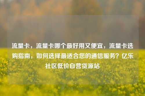流量卡，流量卡哪个最好用又便宜	，流量卡选购指南，如何选择最适合您的通信服务？亿乐社区低价自营货源站  第1张