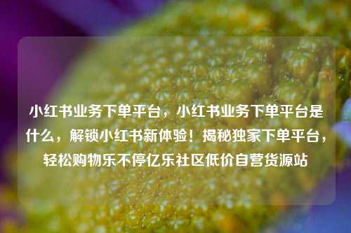 小红书业务下单平台，小红书业务下单平台是什么	，解锁小红书新体验！揭秘独家下单平台，轻松购物乐不停亿乐社区低价自营货源站  第1张