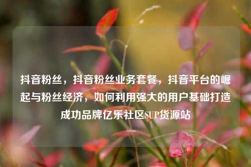 抖音粉丝	，抖音粉丝业务套餐，抖音平台的崛起与粉丝经济，如何利用强大的用户基础打造成功品牌亿乐社区SUP货源站  第1张