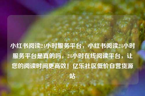 小红书阅读24小时服务平台，小红书阅读24小时服务平台是真的吗，24小时在线阅读平台	，让您的阅读时间更高效！亿乐社区低价自营货源站  第1张