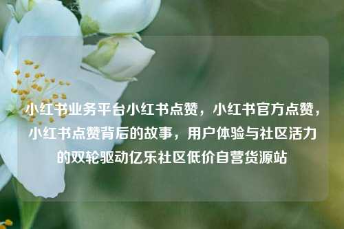 小红书业务平台小红书点赞	，小红书官方点赞，小红书点赞背后的故事，用户体验与社区活力的双轮驱动亿乐社区低价自营货源站  第1张